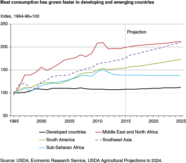 This chart shows: 'Meat consumption has grown faster in developing and emerging countries'.