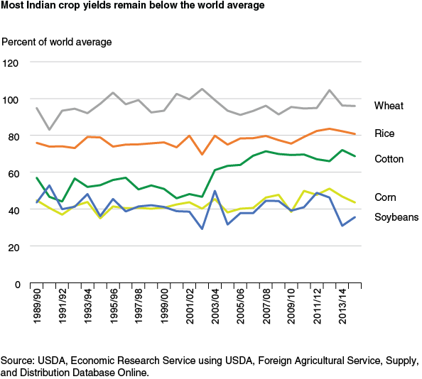 This chart shows: 'Most Indian crop yields remain below the world average'.