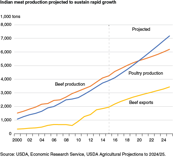 This chart shows: 'Indian meat production projected to sustain rapid growth'.