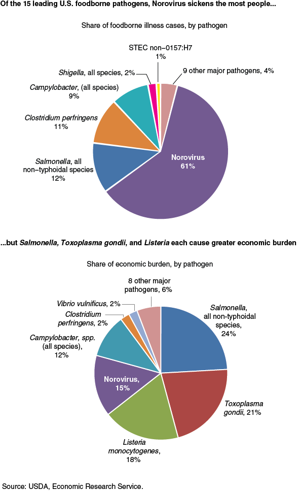 This chart shows: 'Of the 15 leading U.S. foodborne pathogens, Norovirus sickens the most people, but Salmonella, Toxoplasma gondii, and Listeria each cause greater economic burden'.