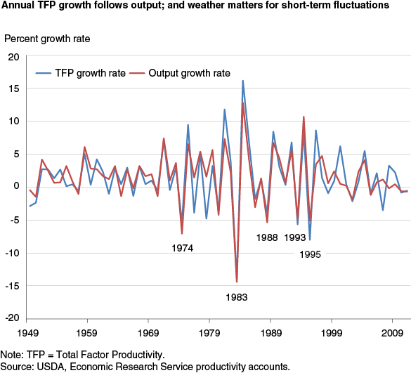 This chart shows: 'Annual TFP growth follows output; and weather matters for short-term fluctuations'.