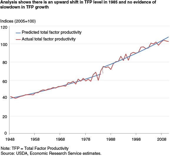 This chart shows: 'Analysis shows there is an upward shift in TFP level in 1985 and no evidence of slowdown in TFP growth'.