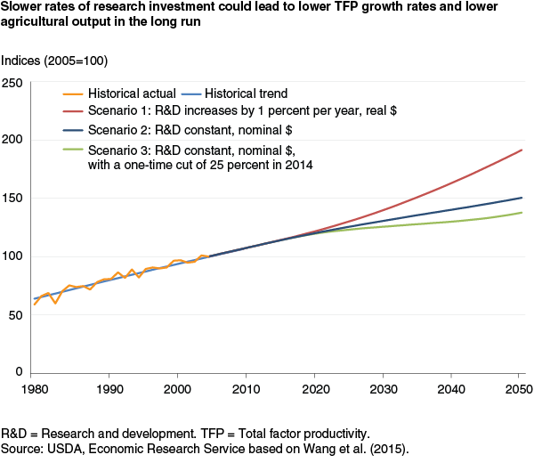 This chart shows: 'Slower rates of research investment could lead to lower TFP growth rates and lower agricultural output in the long run'.