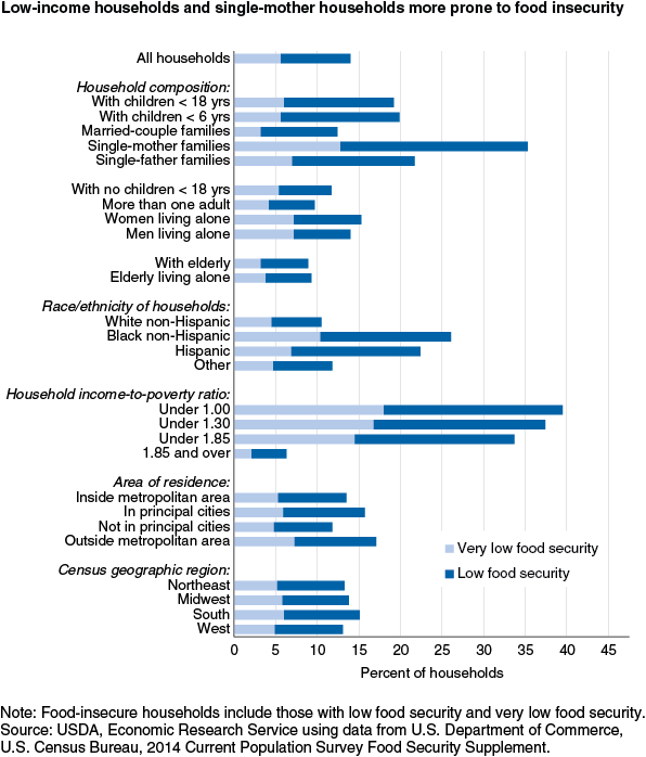 This chart shows: 'Low-income households and single-mother households more prone to food insecurity'.