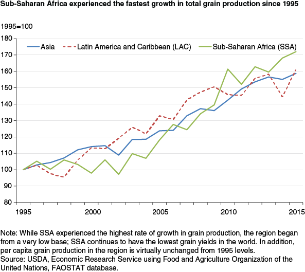 This chart shows: 'Sub-Saharan Africa experienced the fastest growth in total grain production since 1995'.