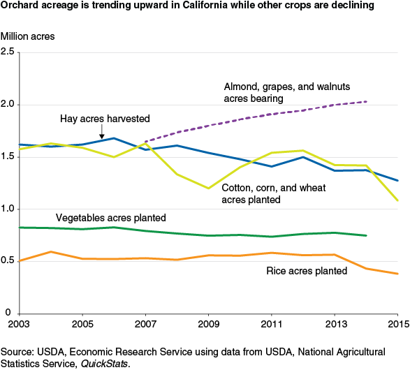 This chart shows: 'Orchard acreage is trending upward in California while other crops are declining'.