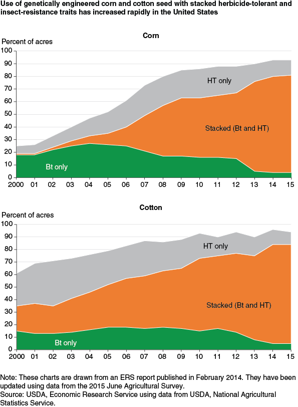 This chart shows: 'Use of genetically engineered corn and cotton seed with stacked herbicide tolerance and insect resistance traits has increased rapidly in the United States'.