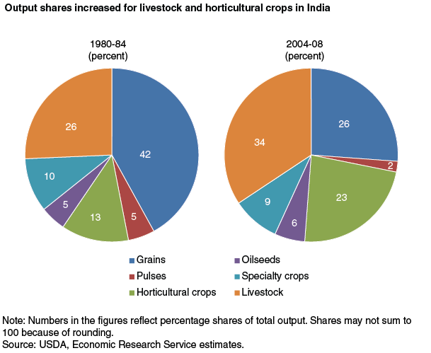 This chart shows: 'Output shares increased for livestock and horticultural crops in India'.