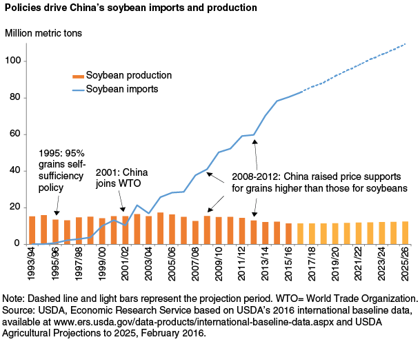 This chart shows: 'Policies drive China's soybean imports and production'.