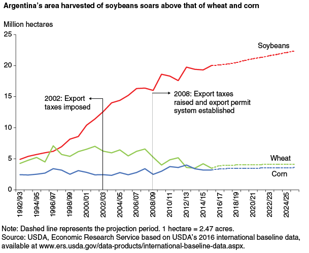 This chart shows: 'Argentina's area harvested of soybeans soars above that of wheat and corn'.