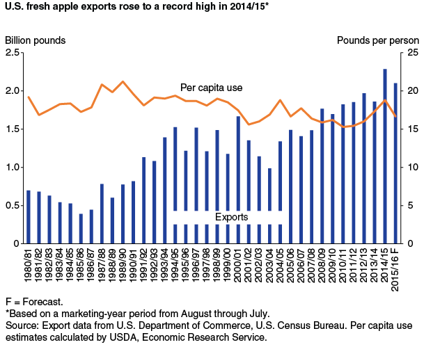 This chart shows: 'U.S. fresh apple exports rose to a record high in 2014/15*'.