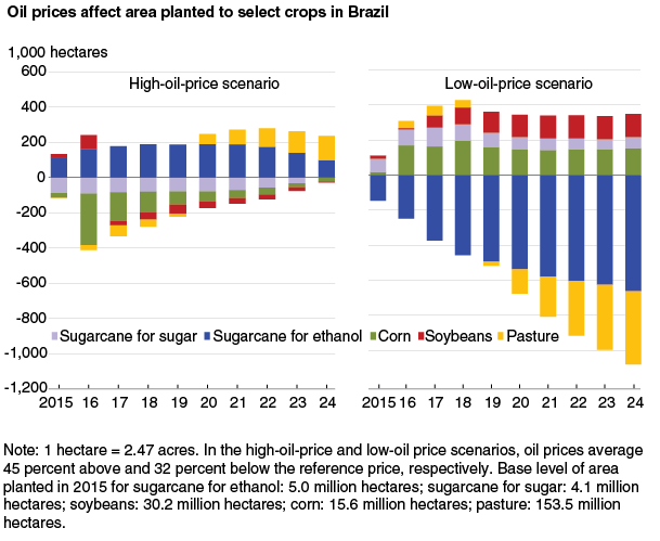 This chart shows: 'Oil prices affect area planted to select crops in Brazil'.