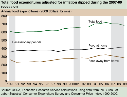 This chart shows: 'Total food expenditures adjusted for inflation dipped during the 2007-09 recession'.