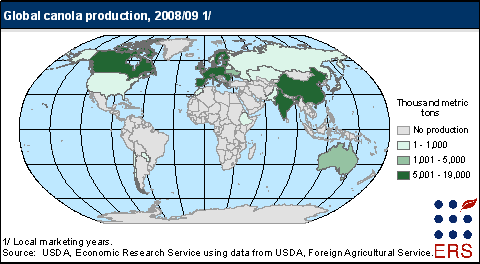 This chart shows: 'Global canola production, 2008/09 (thousand metric tons)'.