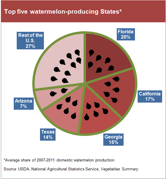 An illustration showing the top five watermelon producing States.
