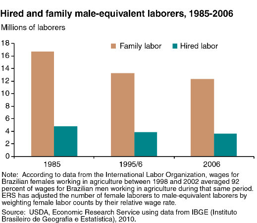 A chart showing the hired and family male-equivalent laborers, years 1985 to 2006.