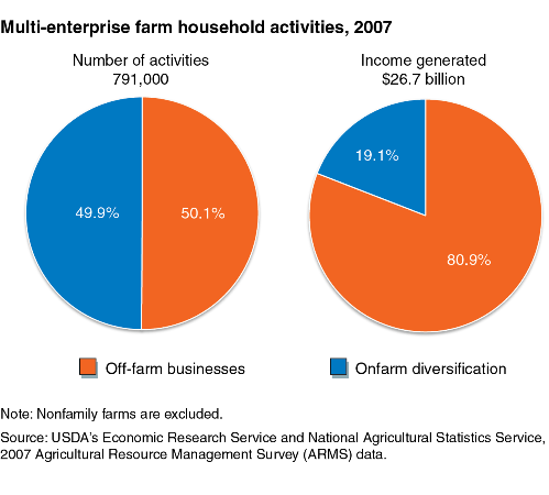 A chart showing the multi-enterprise farm household activities in 2007.