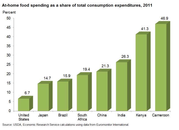 A chart showing the at home food spending as a share of total consumption expenditures in various countries in 2011.