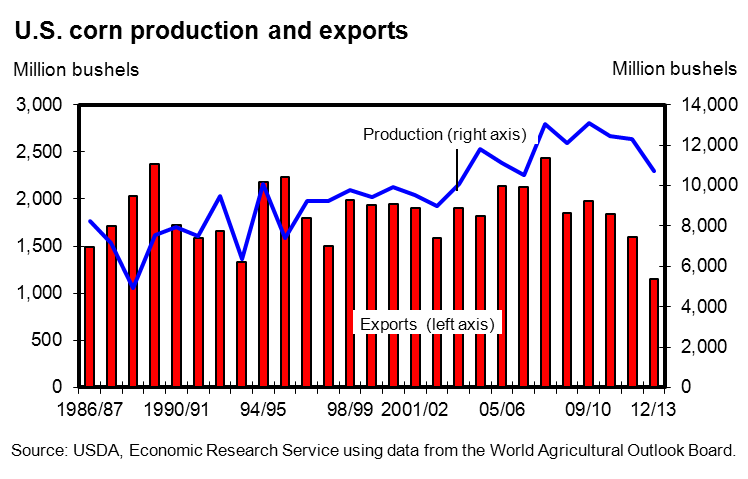 A chart showing U.S. corn production and exports.