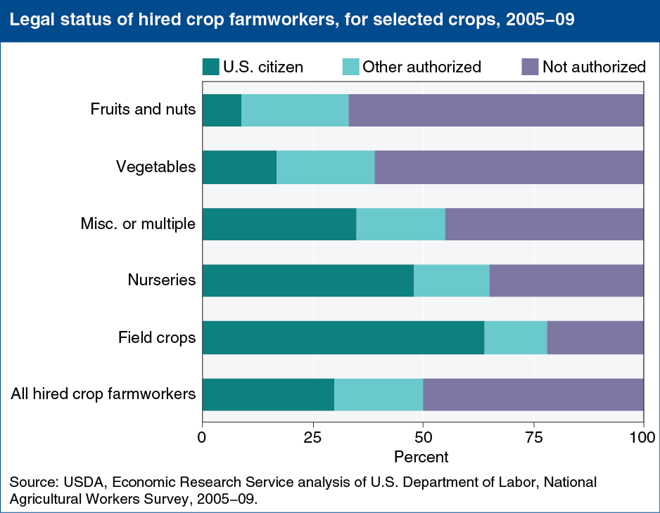 A chart showing the legal status of hired crop farm workers, for selected crops, years 2005 to 2009.