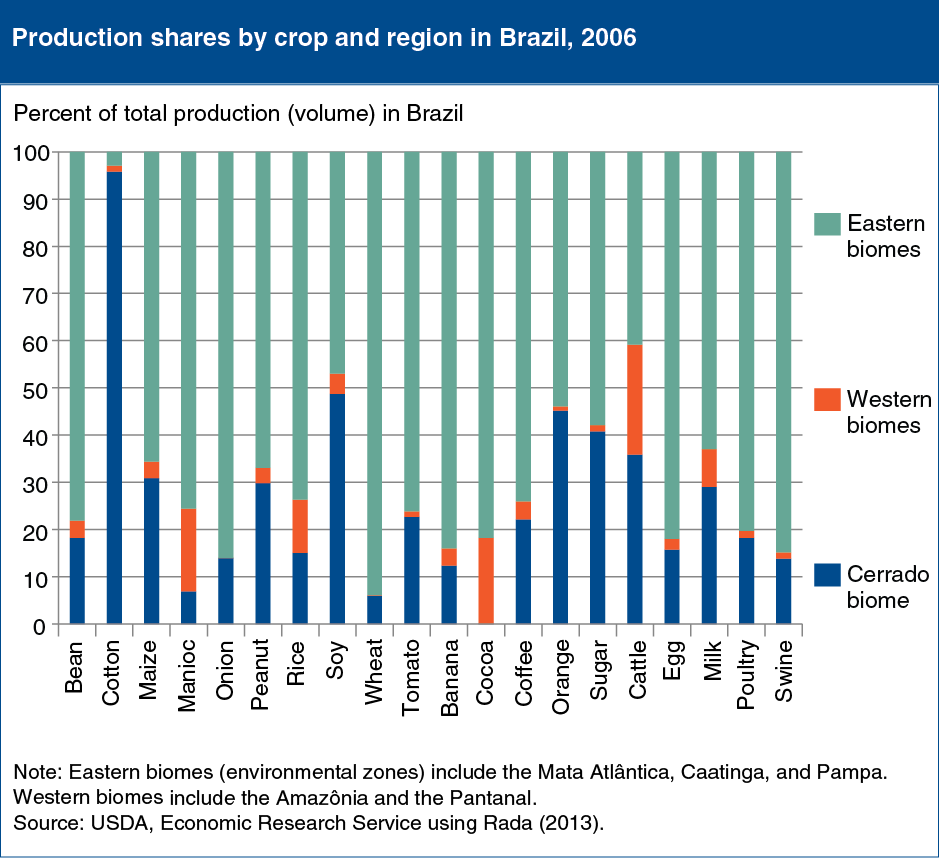 A chart showing the production shares by crop and region in Brazil in 2006.