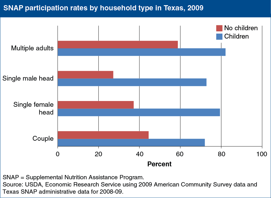 A chart showing the SNAP participation rates by household type in Texas, year 2009.