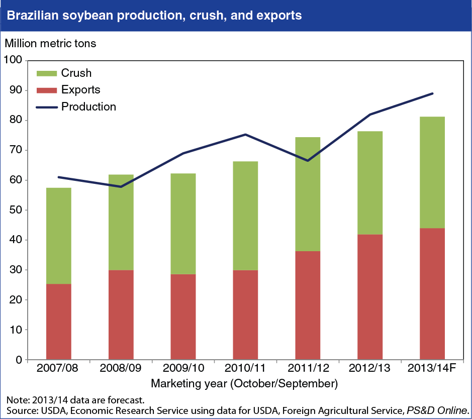 A chart showing the Brazilian soybean production, crush, and exports.