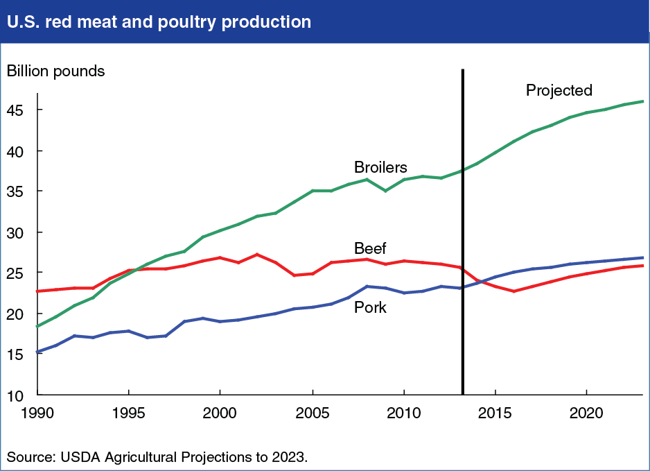A chart showing the red meat and poultry production in the United States.