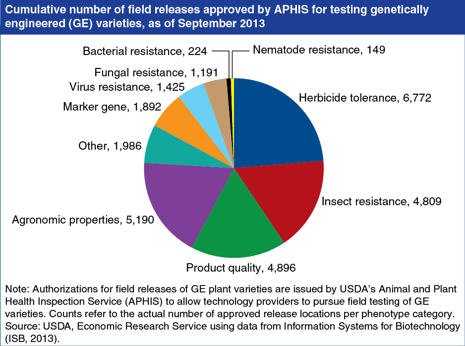 A chart showing the cumulative number of field releases approved by APHIS for testing GE varieties.