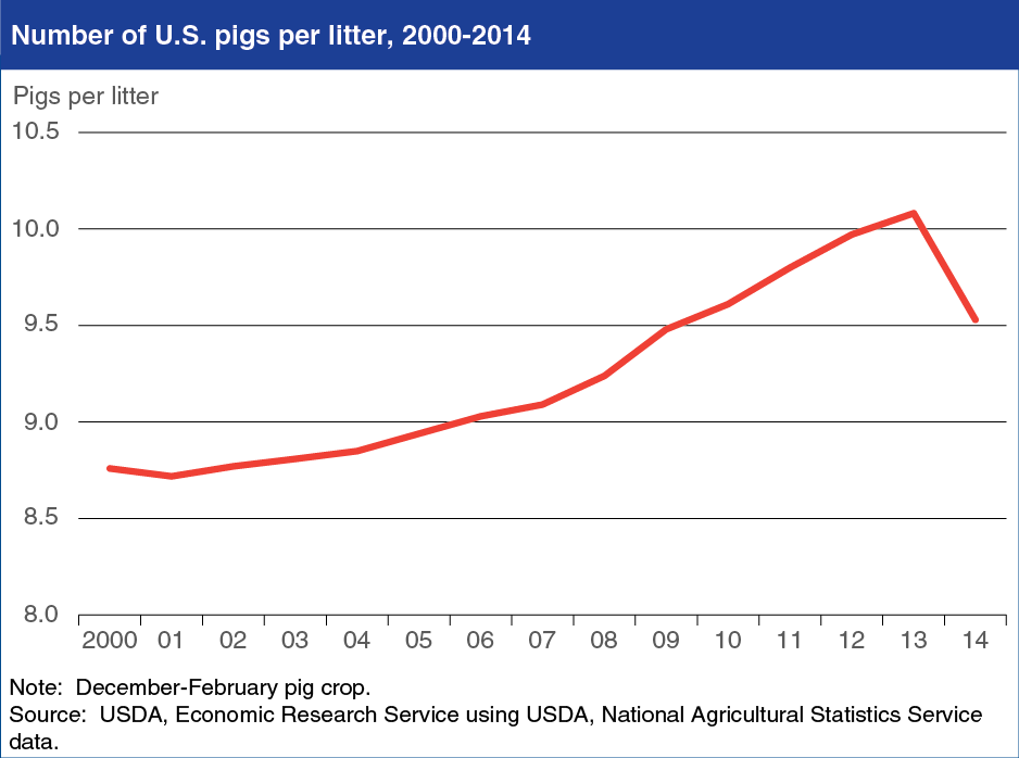 Chart showing the number of pigs per litter, years 2000-2014