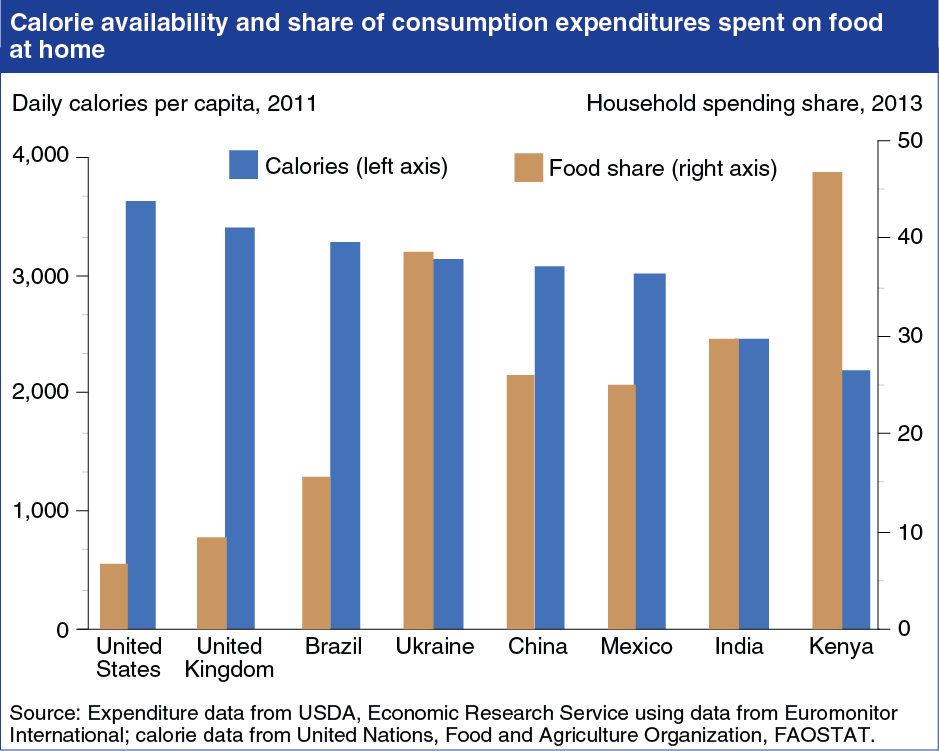 A chart showing the calorie availability and share of consumption expenditures spent on food at home.