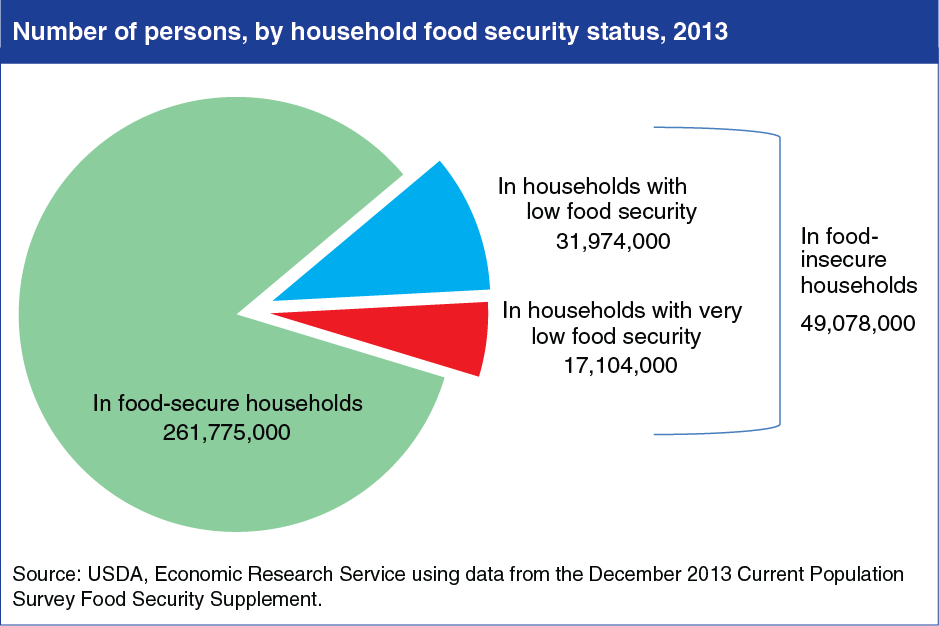 A chart showing the number of persons, by household food security status, in year 2013.
