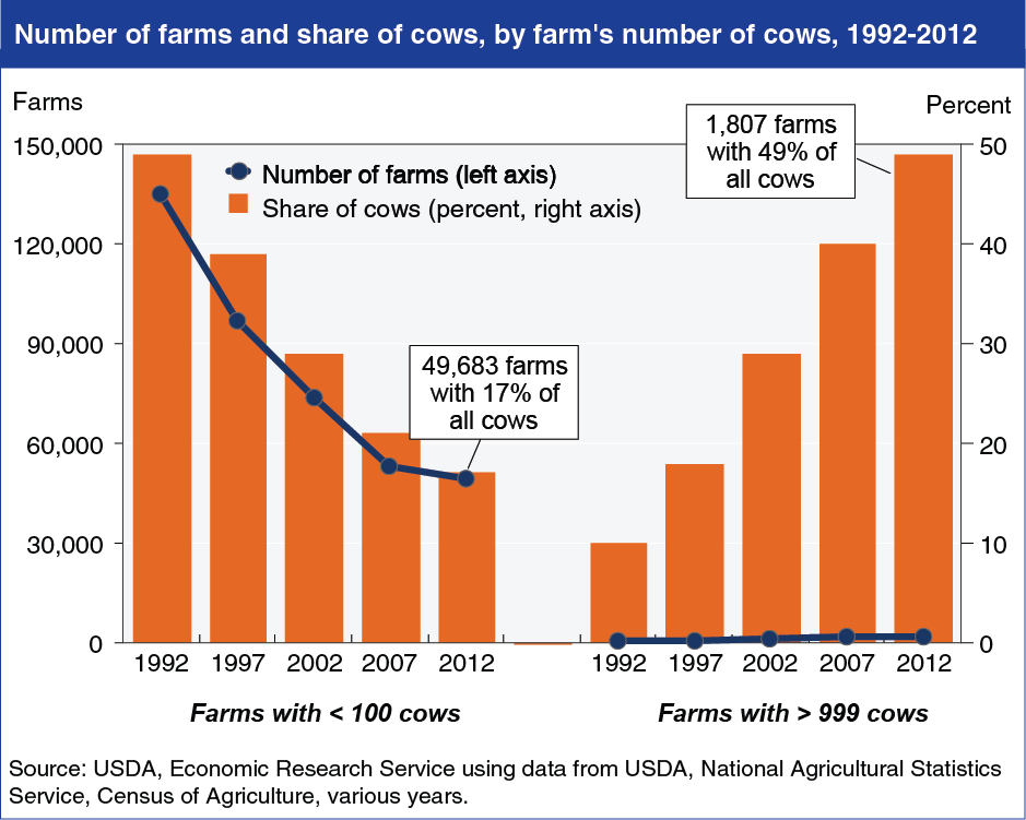 A chart showing the number of farms and share of cows, by farm's number of cows, years 1992 to 2012.