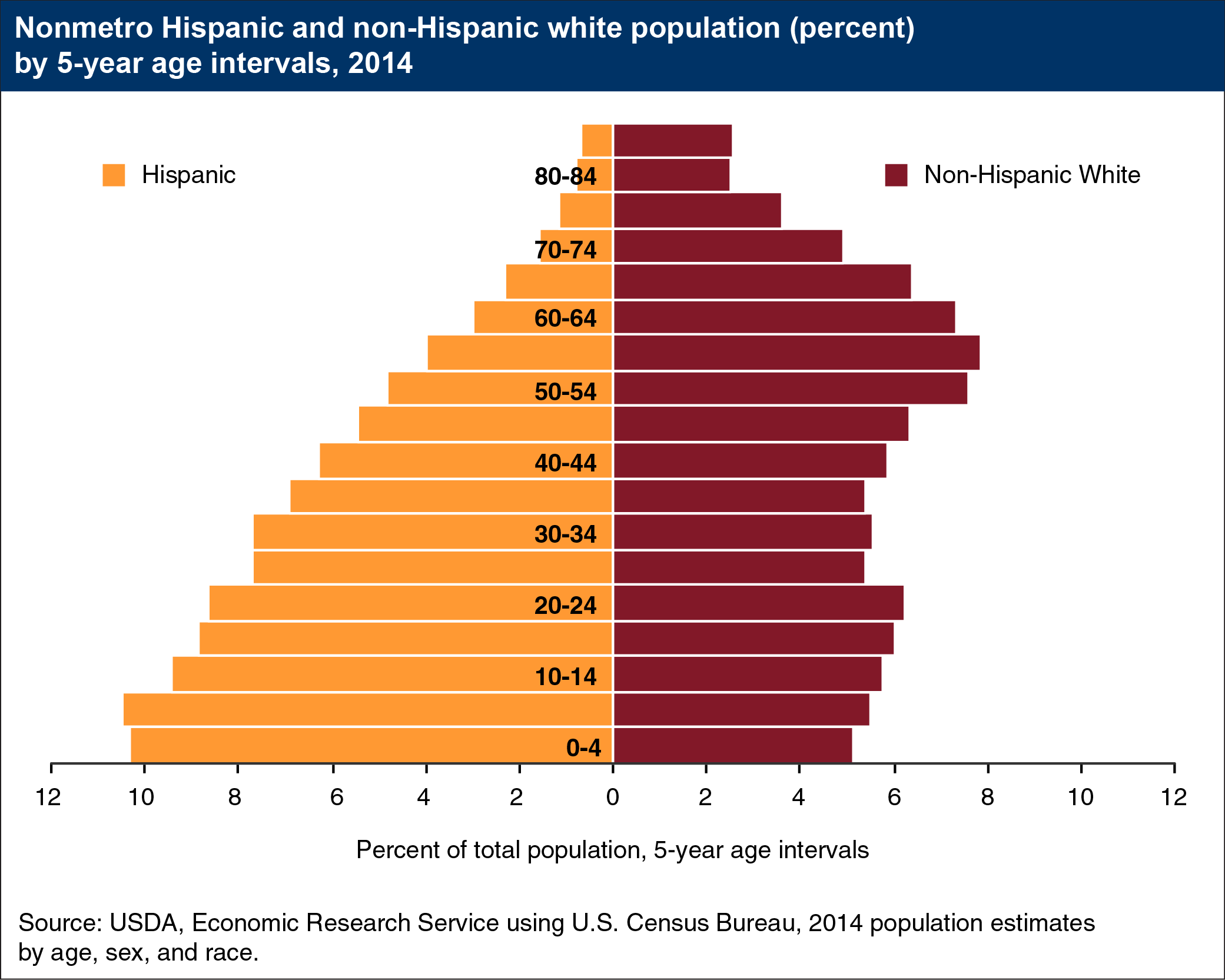 Bar chart showing nonmetro Hispanic and non-Hispanic white population (percent) by 5-year age intervals, 2014