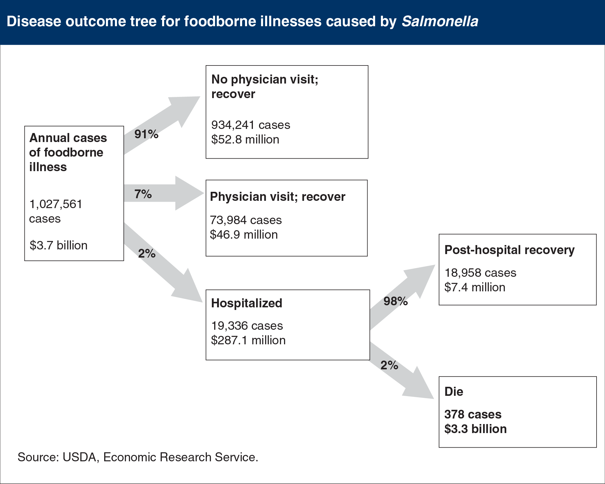 Diagram showing disease outcome tree for foodbourne illnesses caused by Salmonella