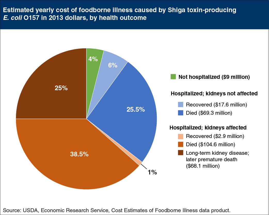 Pie chart showing estimated yearly cost of foodbourne illnesses caused by Shiga toxin-producing E. coli O157 in 2013 dollars, by health outcome