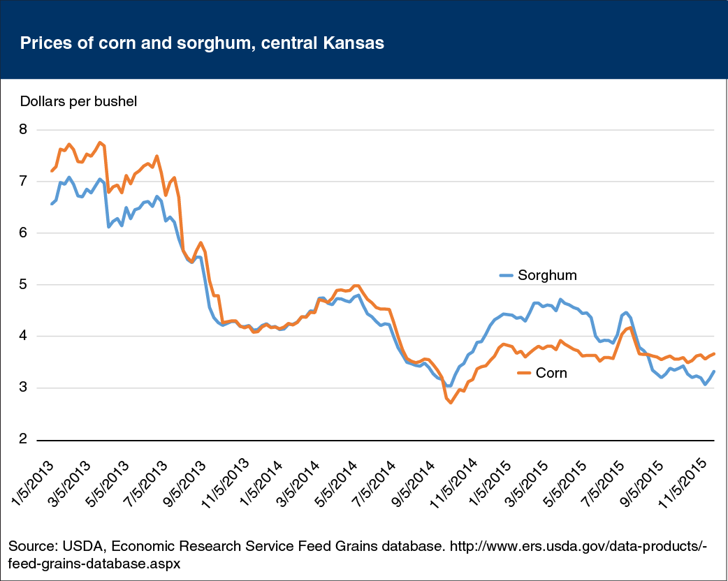Line chart showing prices of corn and sorghum, central Kansas