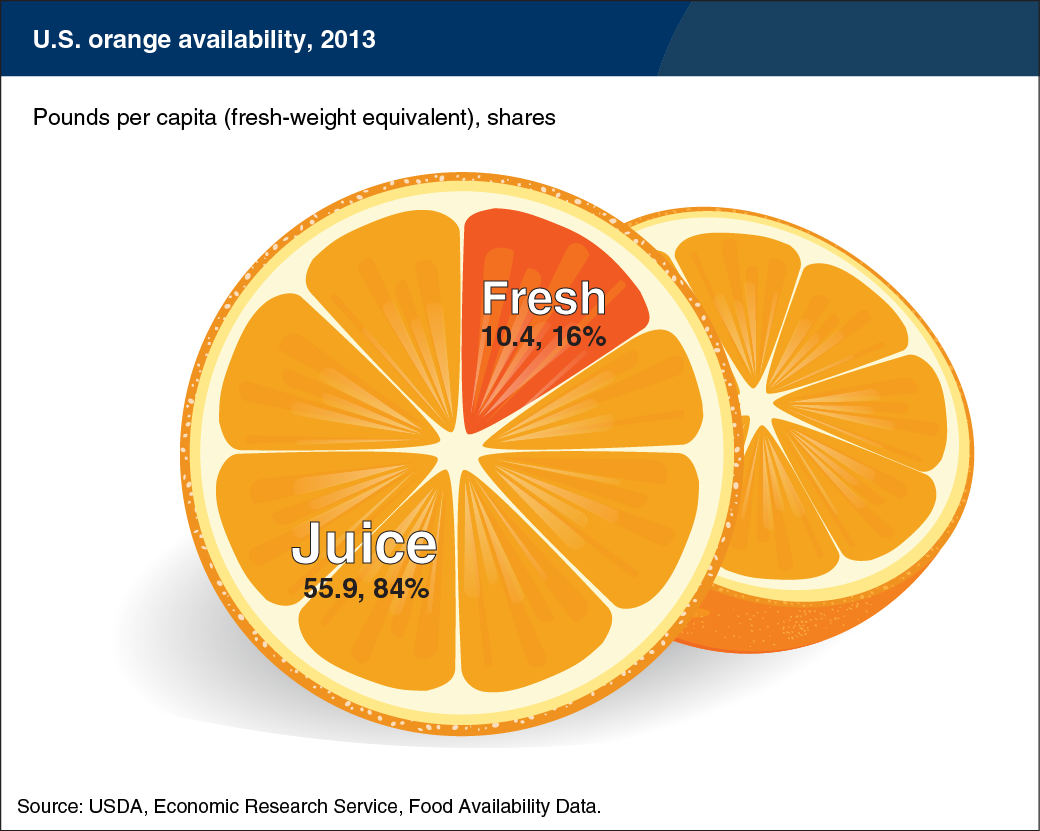 Pie chart showing U.S. orange availability, 2013