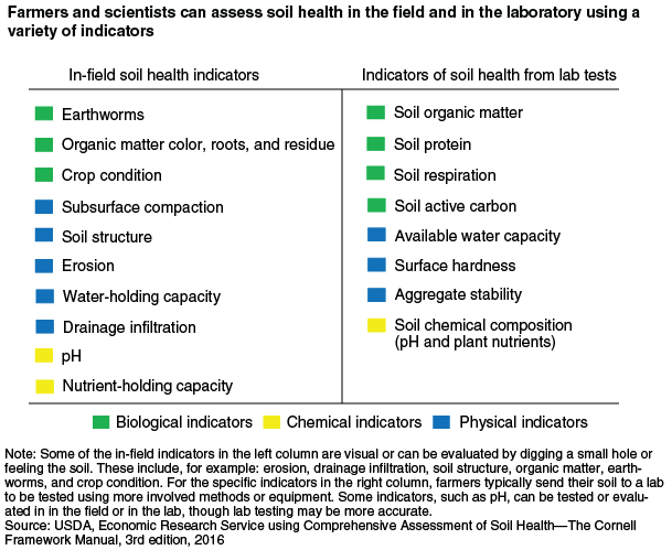 This chart shows: 'Farmers and scientists can assess soil health in the field and in the laboratory using a variety of indicators'.