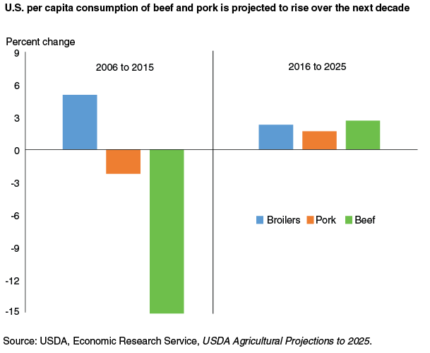 This chart shows: 'U.S. per capita consumption of beef and pork is projected to rise over the next decade'.