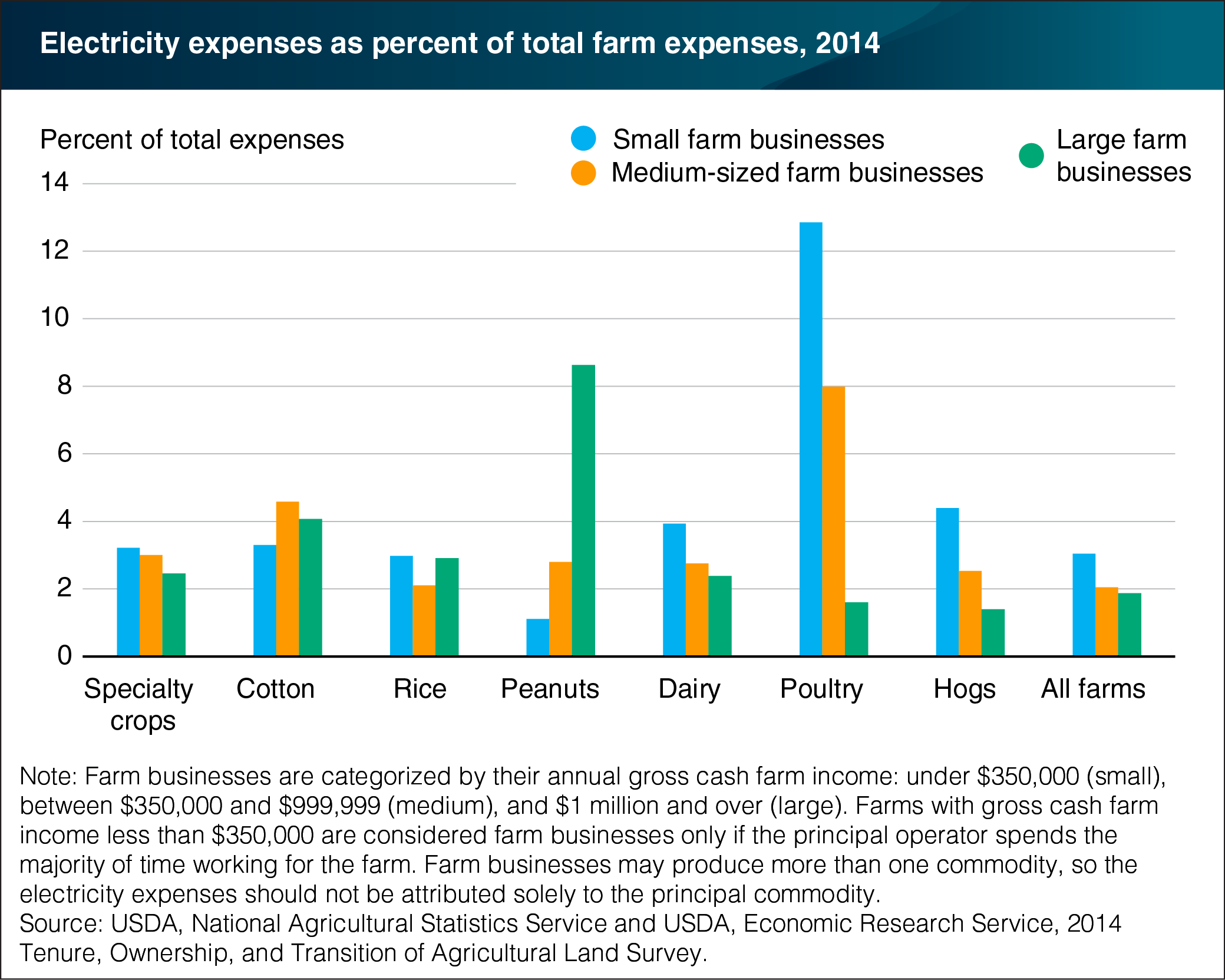 This chart shows: 'Share of electricity expenses vary by farm size and principal commodity'.