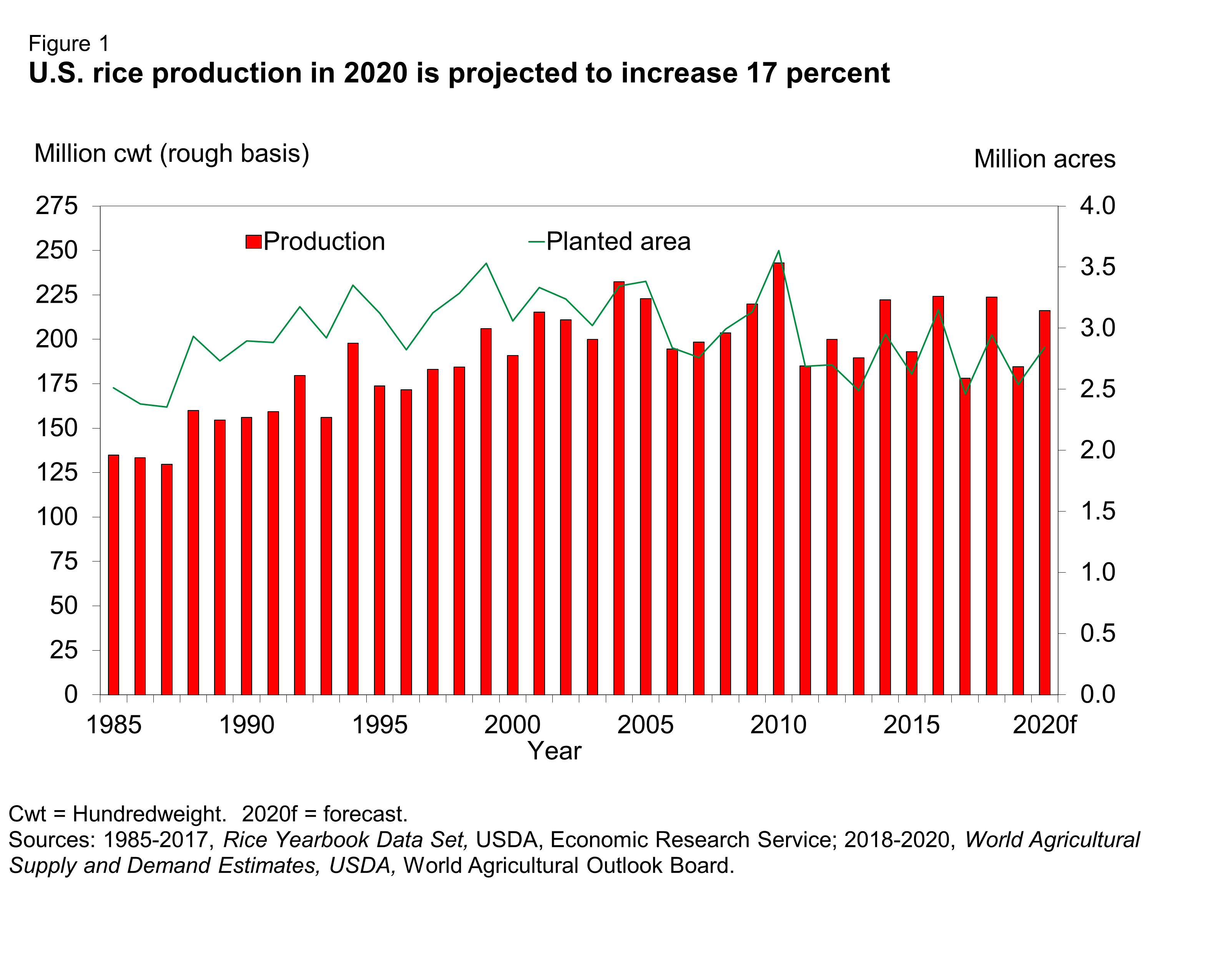 Bar chart showing U.S. Rice Production in 2020 Is Projected to Increase 17 Percent
