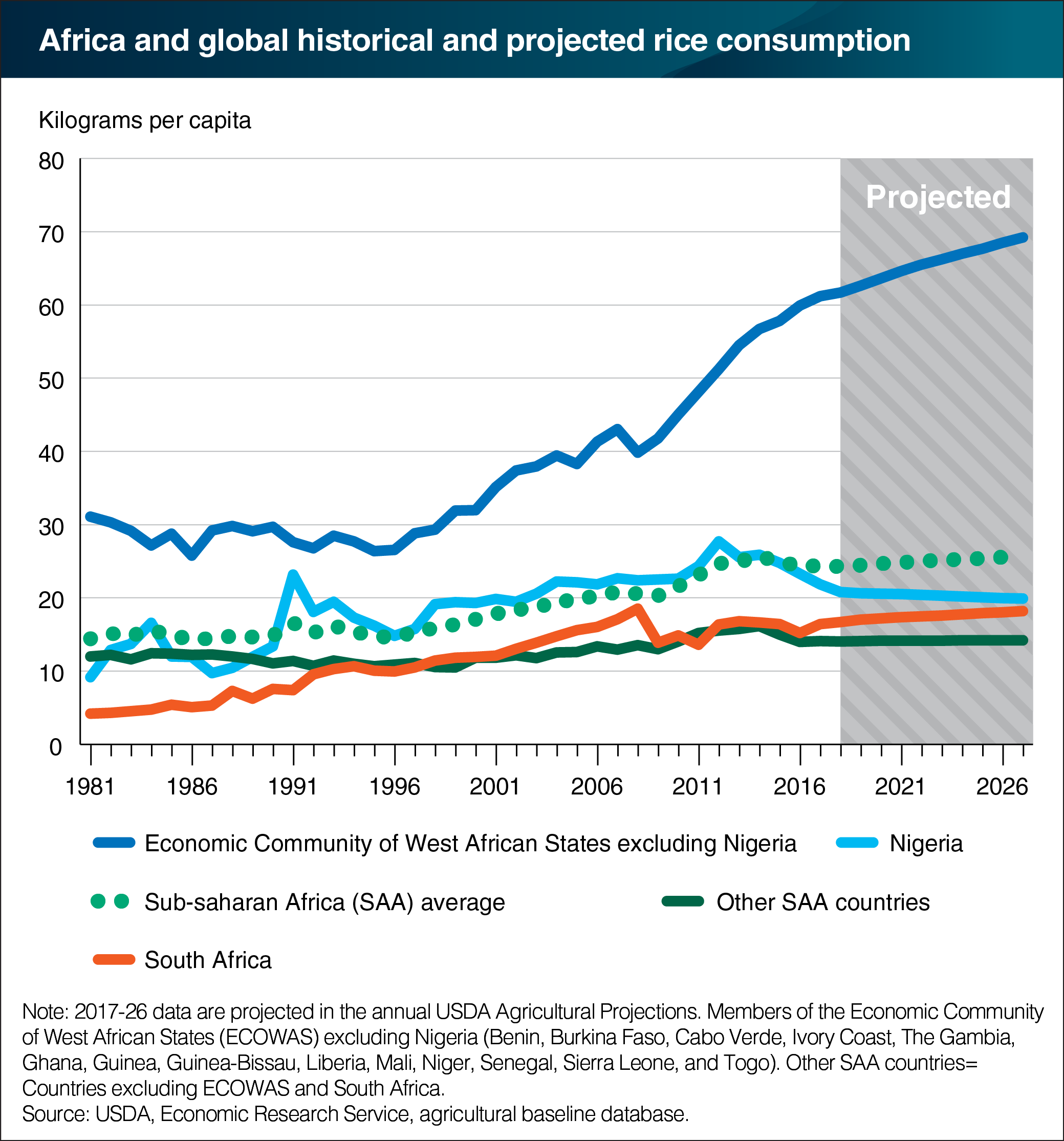 A bar chart showing Africa and global historical and projected rice consumption.