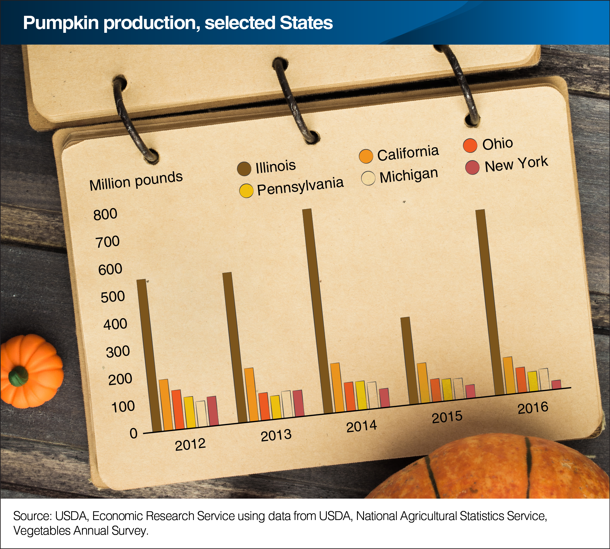 A bar chart showing pumpkin production in selected U.S. States.