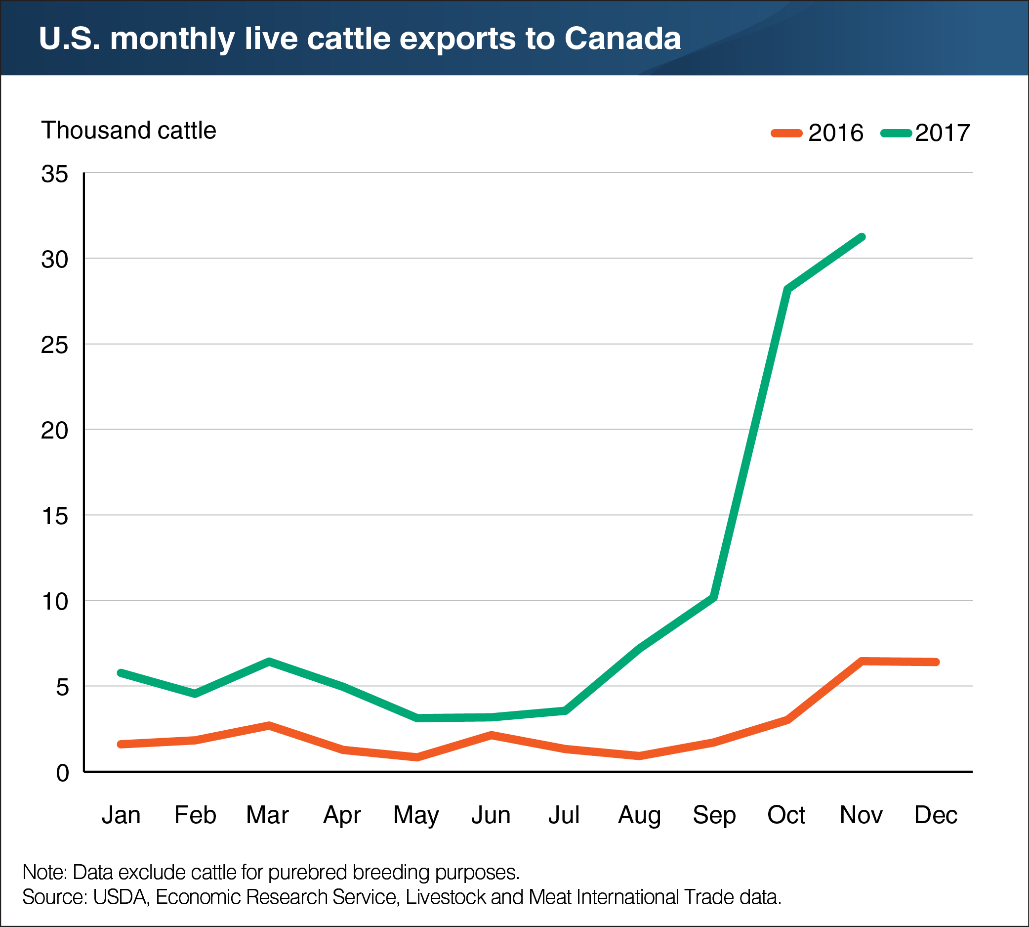 A line chart showing U.S. monthly live cattle exports to Canada.