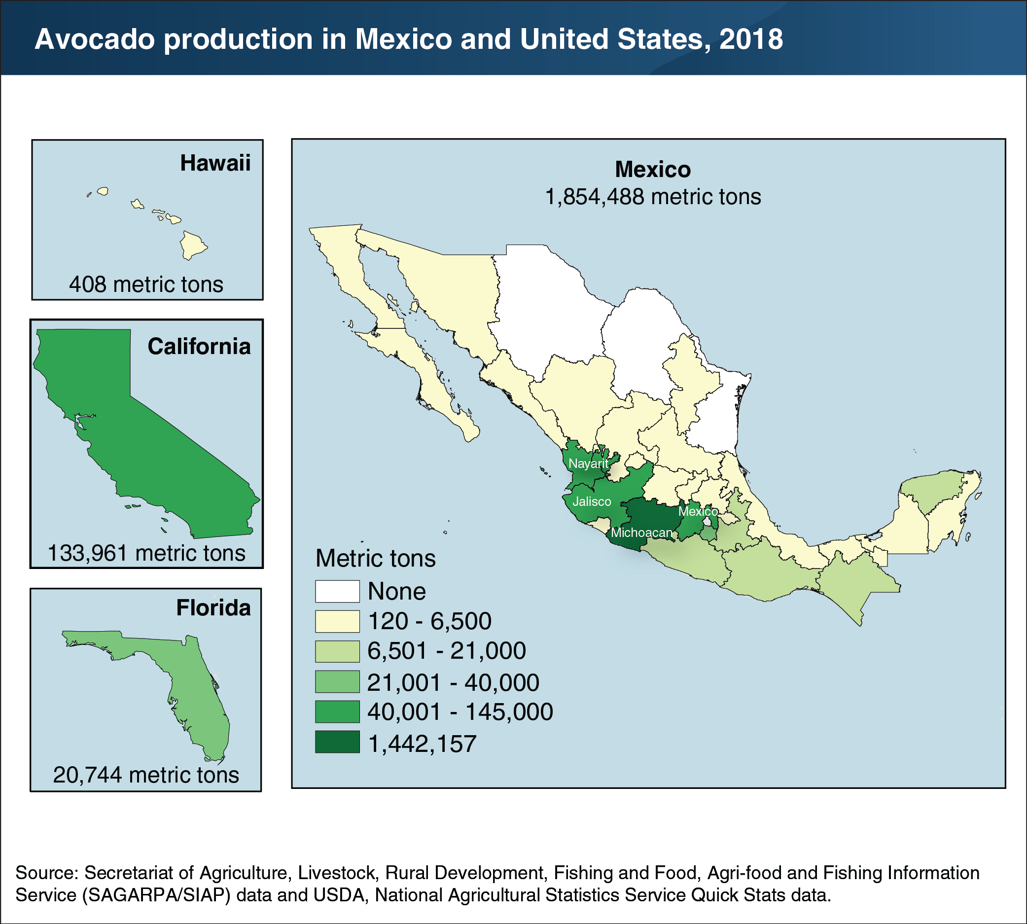 This chart shows avocado production in Mexico and United States. 2018