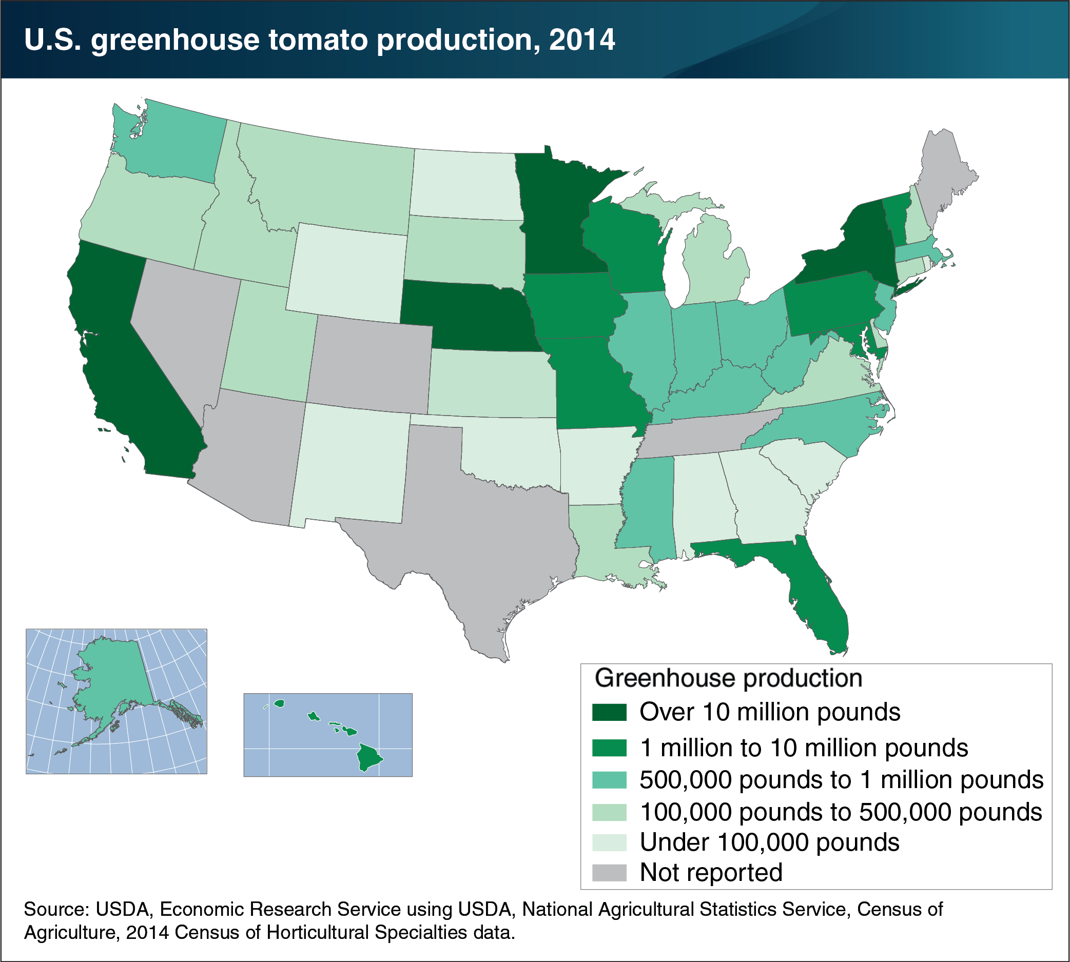 This chart shows: 'Greenhouse tomato production spans most U.S. States'.