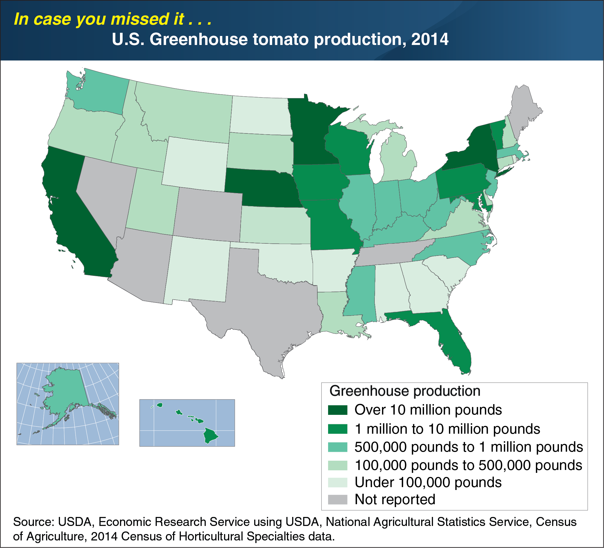 This chart is a map that shows U.S. greenhouse tomato production from 2014.