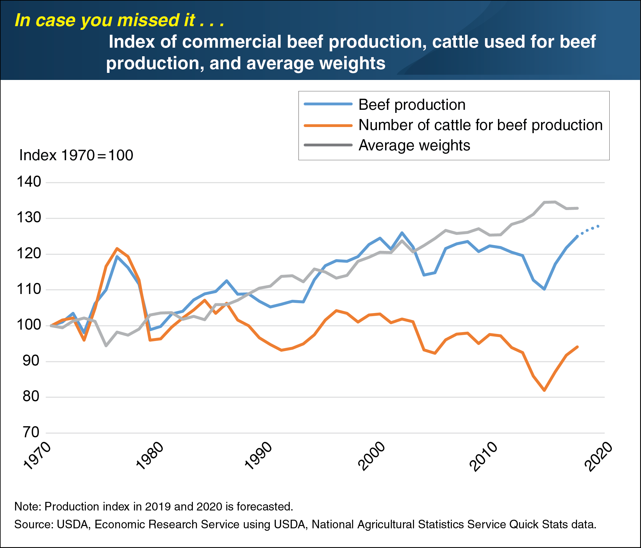 This chart shows the index of commercial beef production, cattle used for beef production, and average weights from 1970 to 2020.