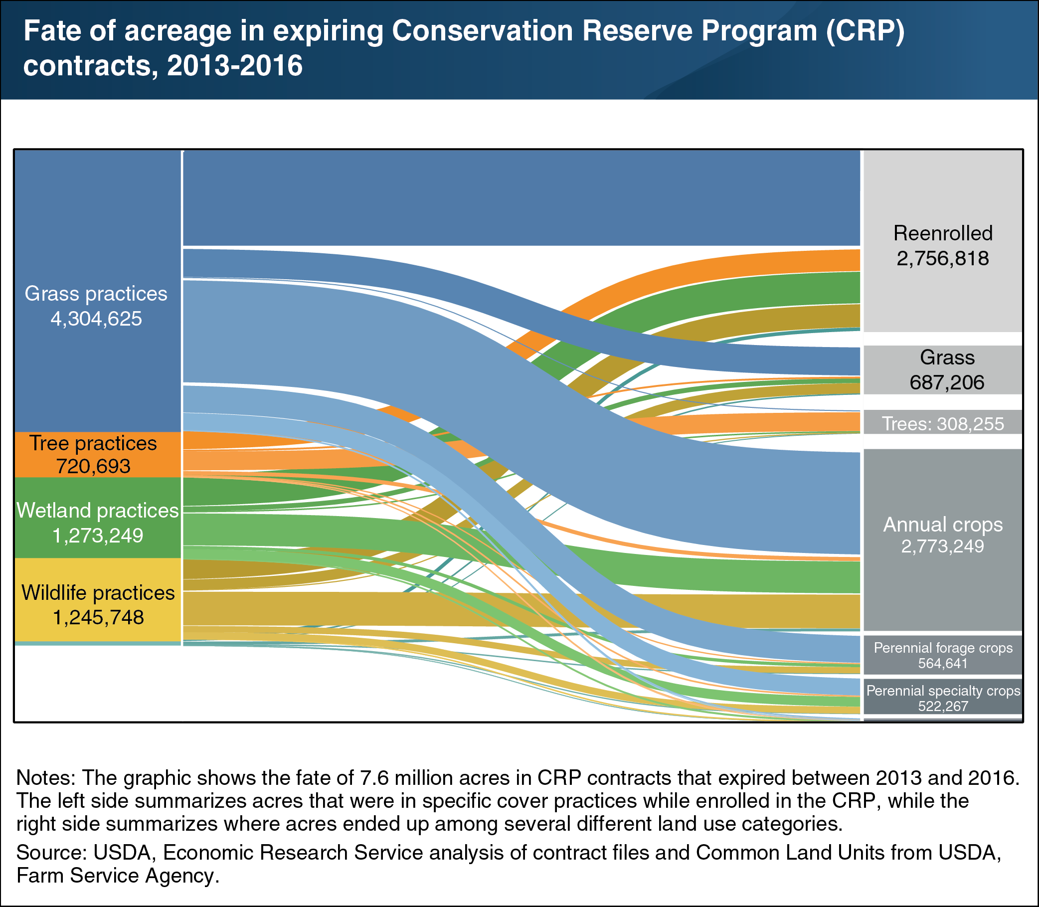 This graphic shows the fate of all acres in Conservation Reserve Program Contracts that expired between 2013 and 2016.